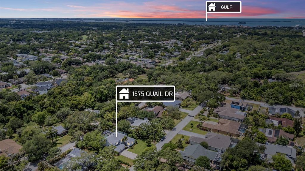 Photo of 1575 Quail Drive, Dunedin, FL 34698 (MLS # TB8502785)