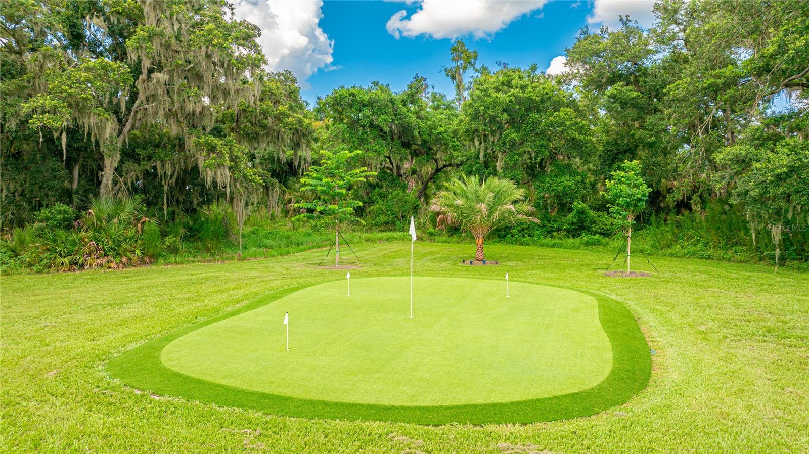 FOREST AT THE HI HAT RANCH - Residential