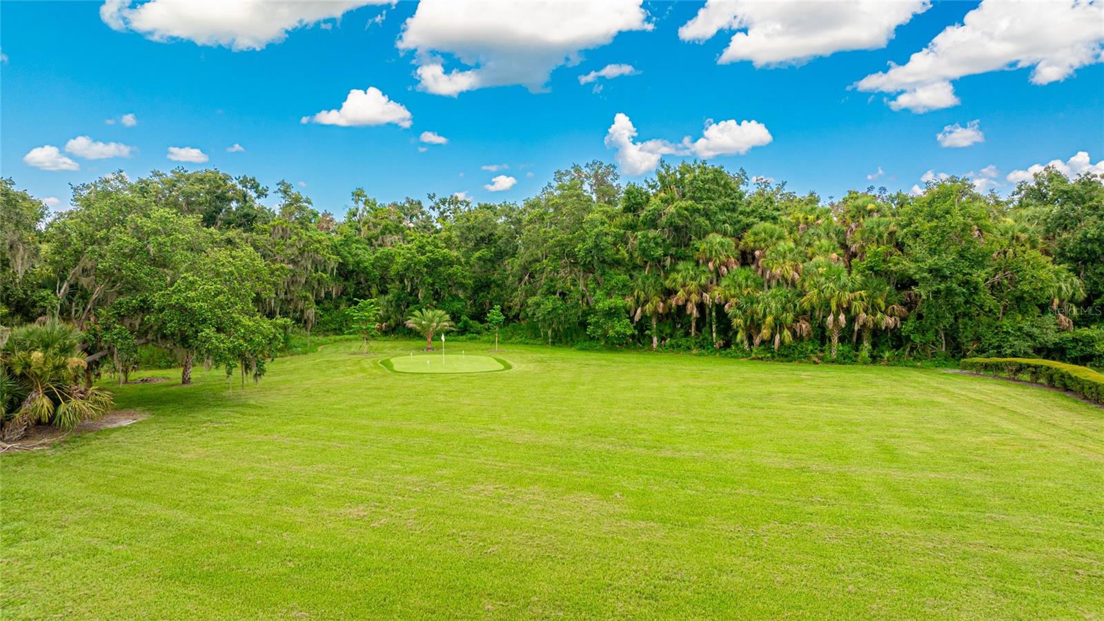 FOREST AT THE HI HAT RANCH - Residential