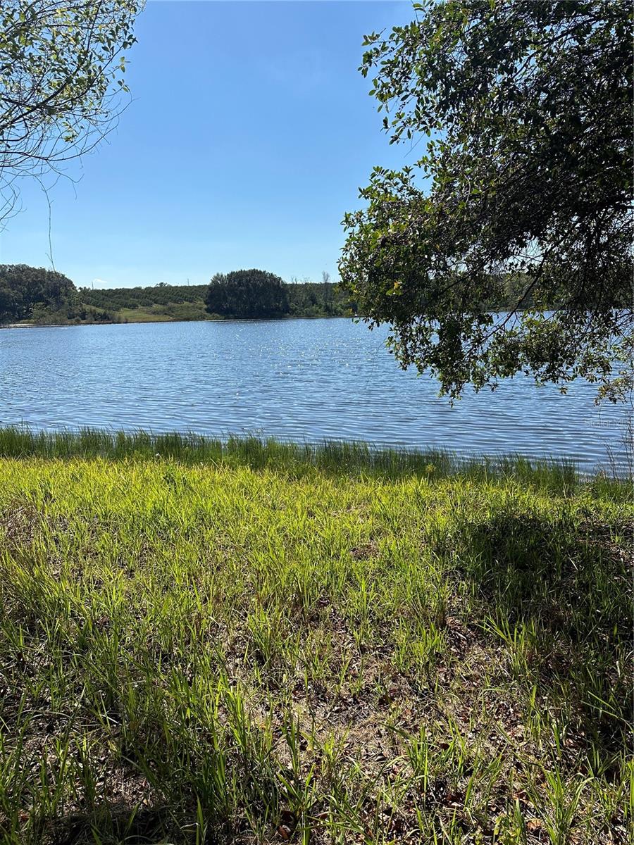 Welcome home to over 5 acres of peaceful beauty on a private, crystal-clear lake. Imagine mornings filled with birdsong and evenings by the water, all while being just minutes from everyday conveniences—Publix is less than 5 miles away, and Mount Dora’s shops, dining, and festivals are only 6 miles down the road. A wonderful county park with ball fields, tennis courts, soccer, trails, and playgrounds is just half a mile away, perfect for family fun. And when you’re ready for a city adventure, downtown Orlando is only about 45 minutes away. The best of country comfort and city convenience awaits you.