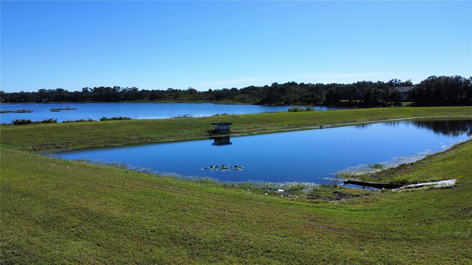 WENTWORTH - Residential Lease