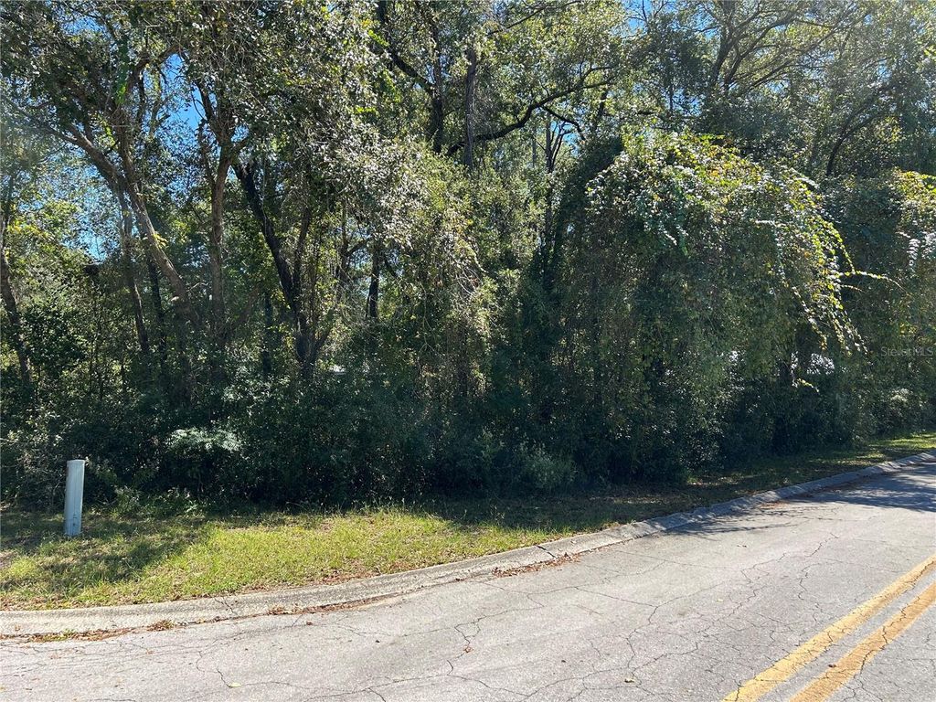 Photo of 3337 S Dayton Terrace, Inverness, FL 34452 (MLS # TB8438023)