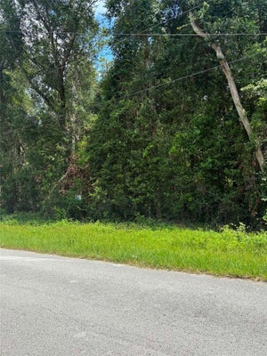 NW 166TH ST, TRENTON, FL 32693 - Image 24ea99f04a39a59ab3f36e569dbeaf9f/4100399149