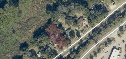 Photo of 9053 Jack Underwood Road, Clermont, FL 34711 (MLS # O6420977)