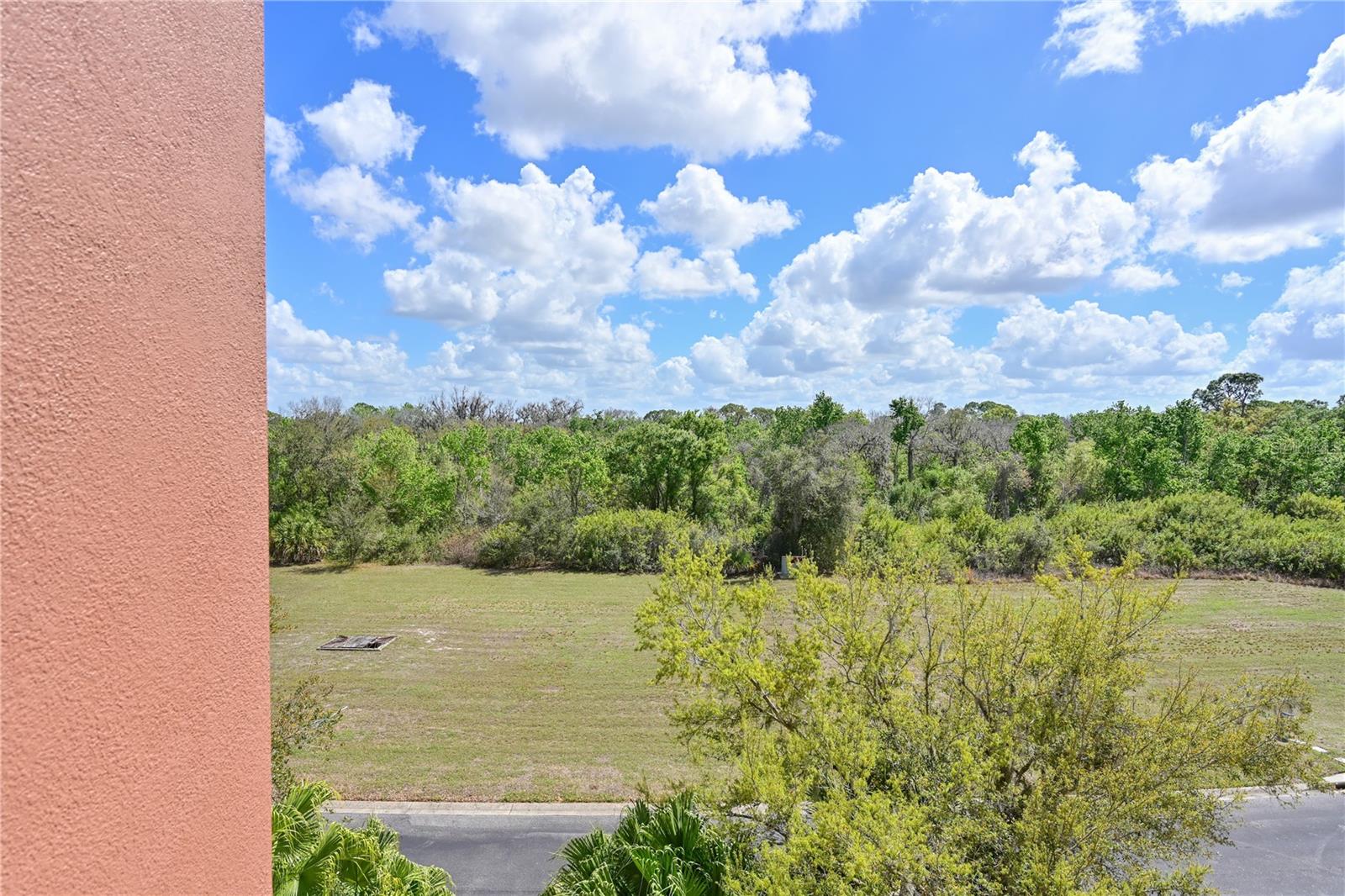 GRANDE OAKS PRESERVE - Residential