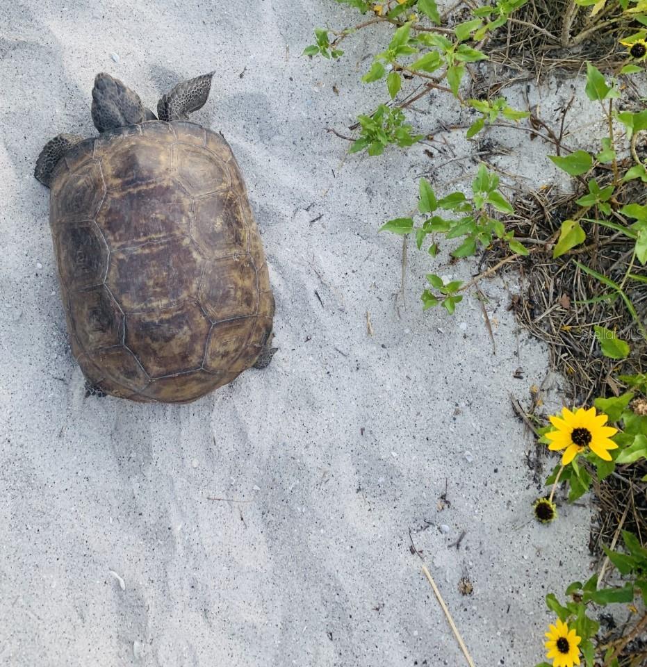 ISLAND HOUSE PH 01 BLDG 02 - Residential