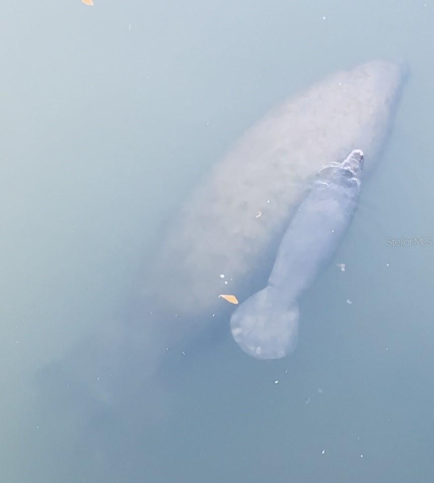 ISLAND HOUSE PH 01 BLDG 02 - Residential