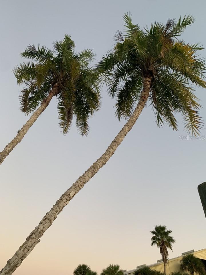 ISLAND HOUSE PH 01 BLDG 02 - Residential