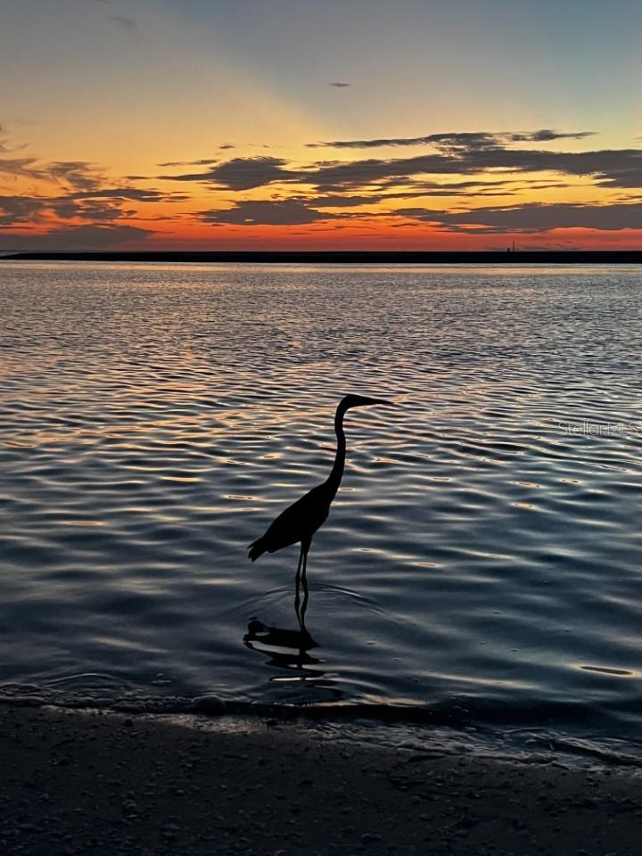 ISLAND HOUSE PH 01 BLDG 02 - Residential