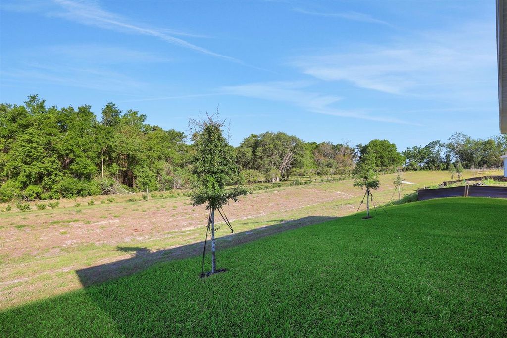 Photo of 239 Meredith Boulevard, Winter Haven, FL 33881 (MLS # G5101294)
