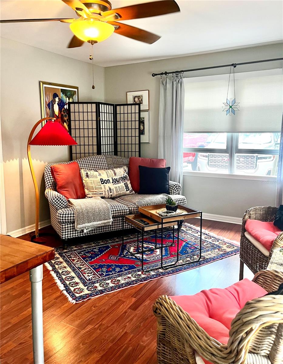 MOUNT DORA - Residential