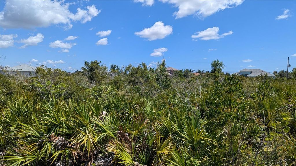 Photo of 13485 Abutilon Lane, Port Charlotte, FL 33981 (MLS # D6142381)