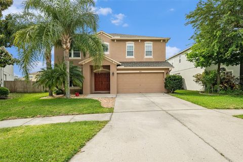 A home in LAND O LAKES