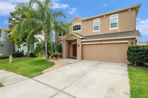 A home in LAND O LAKES