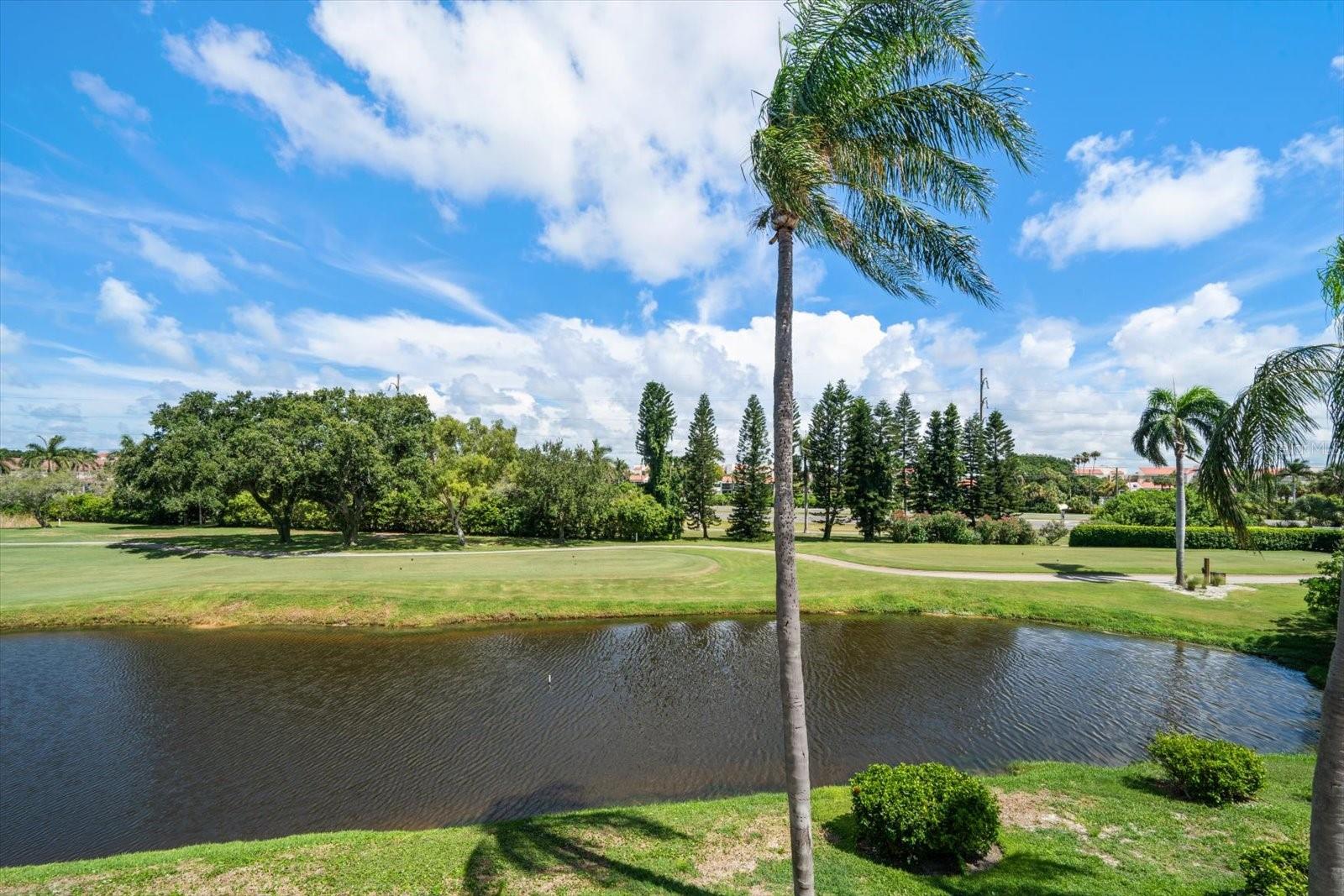 Photo 6 of 27 of 5700 ESCONDIDA BOULEVARD S 306 condo