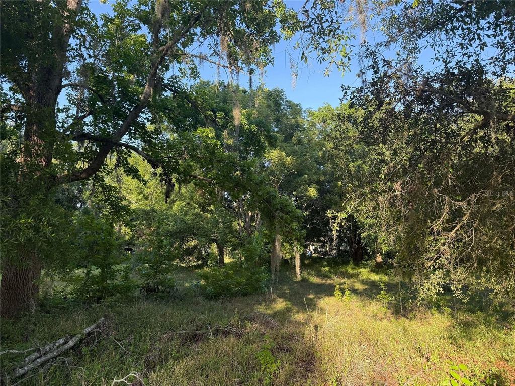 Photo of 7106 Sky Drive, Wesley Chapel, FL 33545 (MLS # TB8339784)