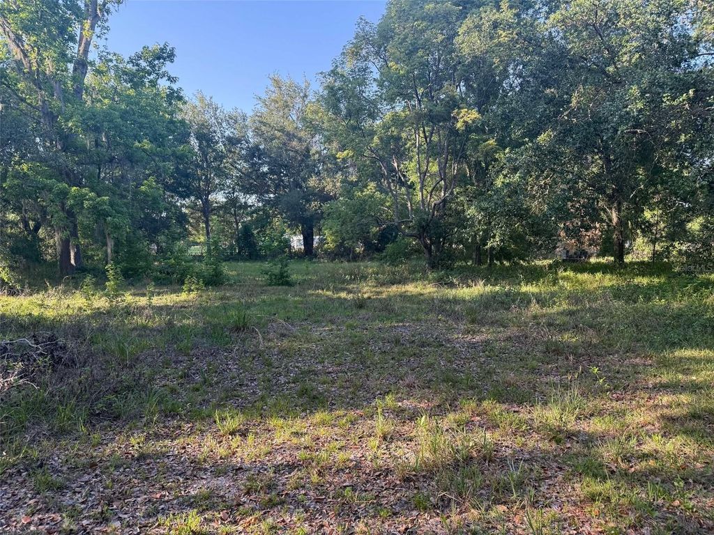 Photo of 7106 Sky Drive, Wesley Chapel, FL 33545 (MLS # TB8339784)