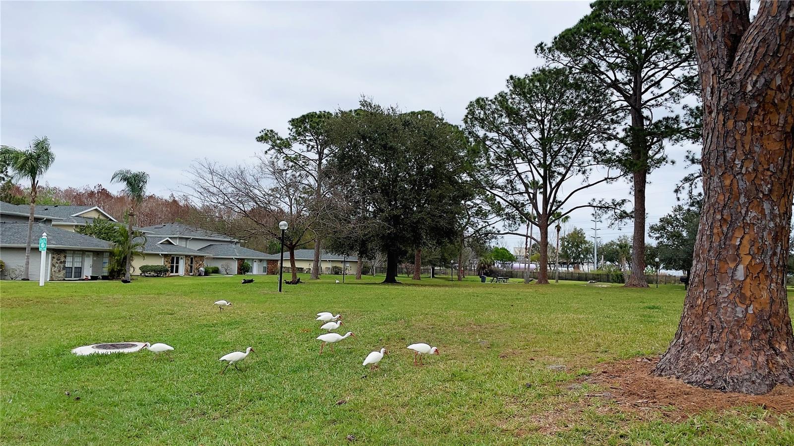 0 WHITE PINE AVENUE