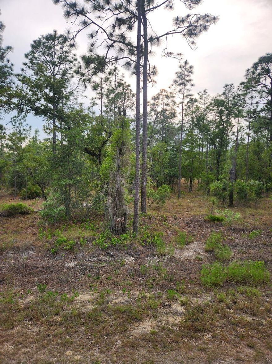 1 ACRE BUILDABLE LOT – PEACEFUL COUNTRY LIVING!
Discover the perfect opportunity to build your dream home on this spacious 1-acre lot in Rainbow Lakes Estates. This rectangular parcel provides plenty of room for a custom home, garage, workshop, or outdoor living space. Nestled in a quiet, rural setting, this property delivers the ideal balance of privacy and convenience. Enjoy nearby access to nature, lakes, and outdoor recreation while still being within a reasonable drive to shopping, dining, and everyday essentials. With RR-3C zoning (Rural Residential), this lot is perfect for a site-built or modular home with room for well and septic. No HOA means flexibility to design and build to your vision. Whether you're looking to build now or invest for the future, this high-and-dry acre parcel is a rare find in a growing area of Levy County. Don’t miss your chance to own a full acre of Florida land!