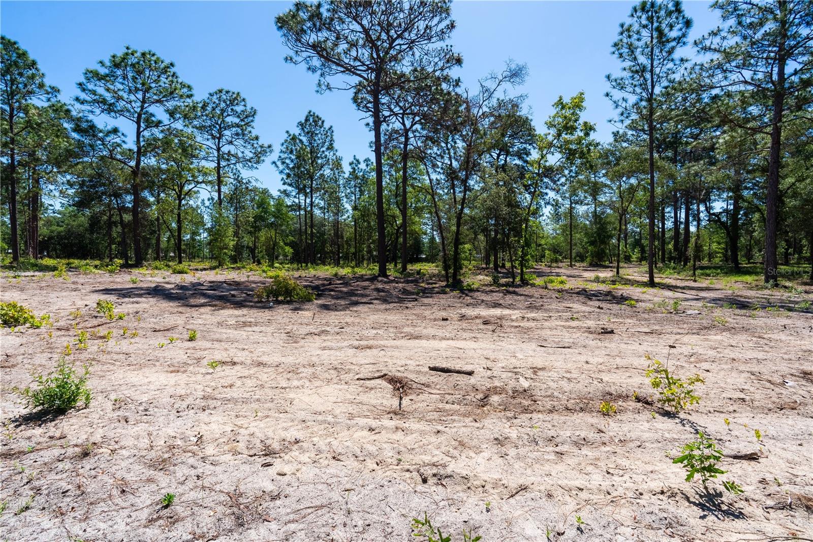 ROLLING PINES - Residential