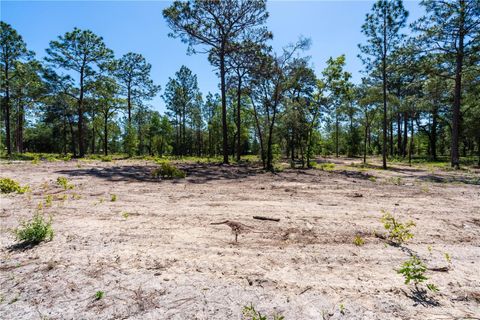 Tiny photo for 12691 SE 80th Street, Morriston, FL 32668 (MLS # O6409355)