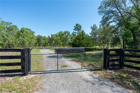 Tiny photo for 12691 SE 80th Street, Morriston, FL 32668 (MLS # O6409355)