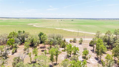 Tiny photo for 12691 SE 80th Street, Morriston, FL 32668 (MLS # O6409355)