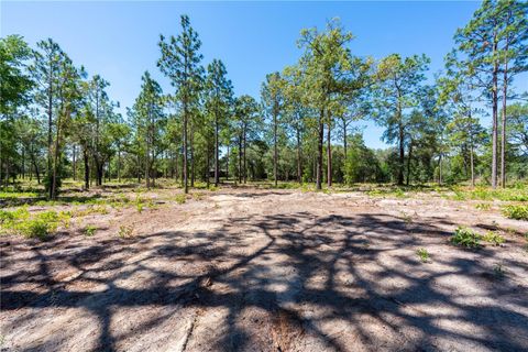 Tiny photo for 12691 SE 80th Street, Morriston, FL 32668 (MLS # O6409355)