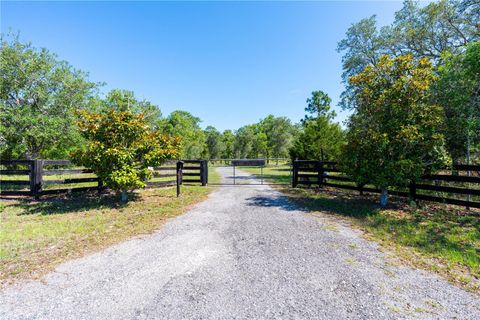 Tiny photo for 12691 SE 80th Street, Morriston, FL 32668 (MLS # O6409355)