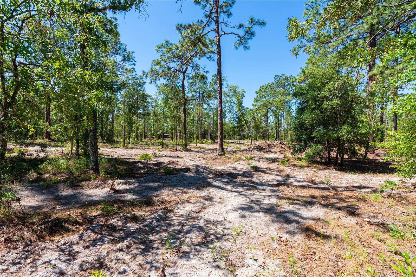 ROLLING PINES - Residential