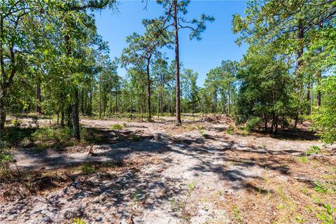 Tiny photo for 12691 SE 80th Street, Morriston, FL 32668 (MLS # O6409355)