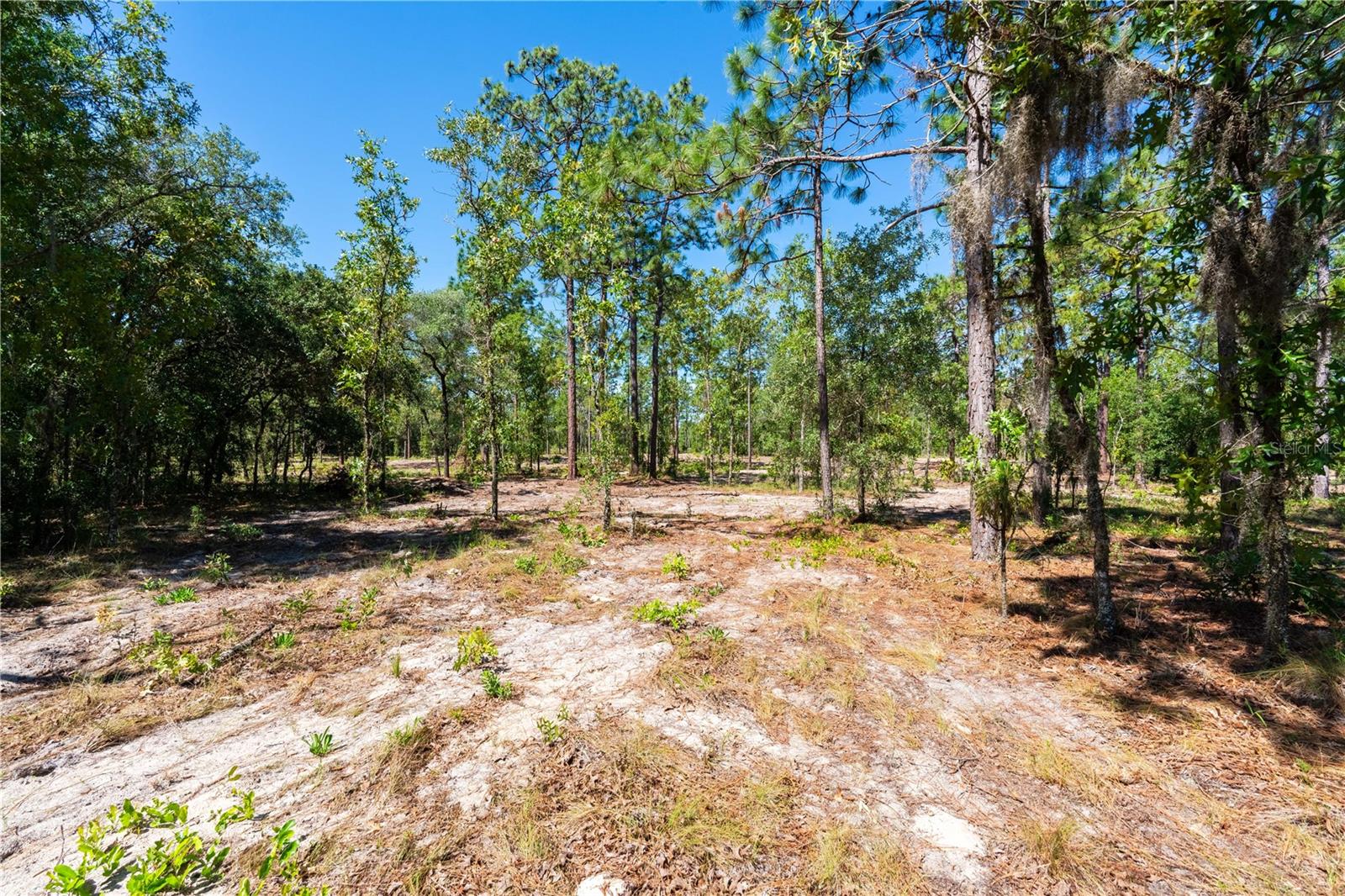 ROLLING PINES - Residential