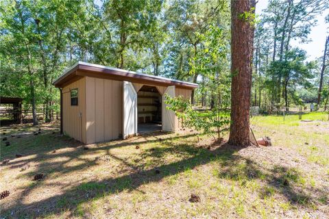 Tiny photo for 12691 SE 80th Street, Morriston, FL 32668 (MLS # O6409355)