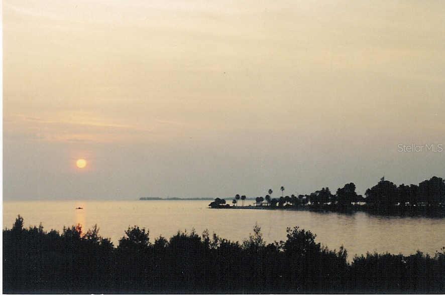 ISLAND CLUB OF TARPON - Residential