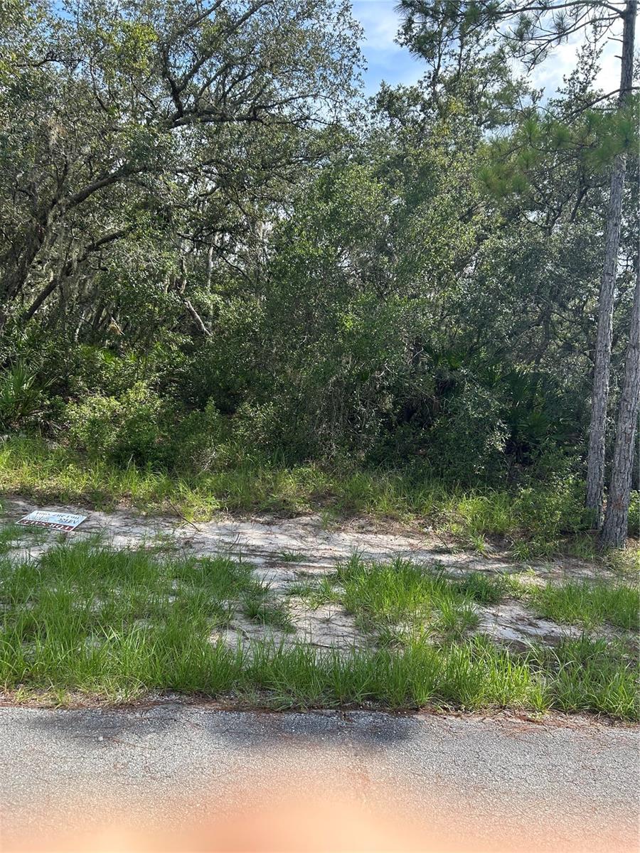 Beautiful wooded area to build your home. Amenities nearby include schools, shopping, hospitals, an excellent place to start investing in your future. Come see this beautiful area and you will be thrilled. When you want to obtain an inexpensive new home call immediately with no obligation for details.