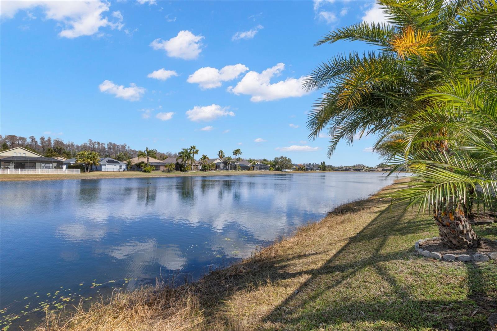 IVY LAKE ESTATES - Residential