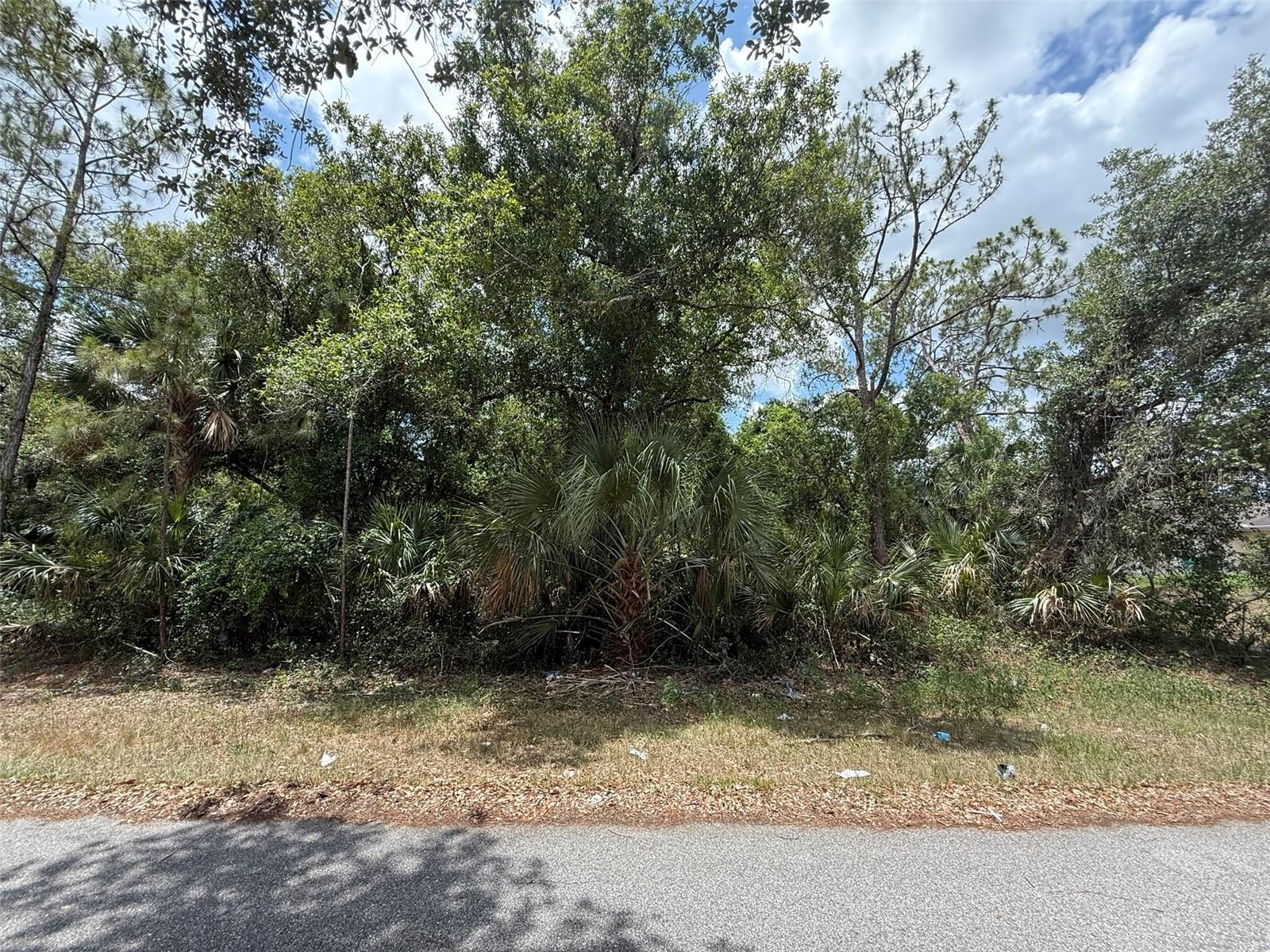Build your dream home on this beautiful 0.23-acre lot. Seize the chance to own this parcel of land. Situated mere minutes from top-notch shopping, golf courses, and I-75, this spot is ideal. Investing in Florida land is a sound decision for your future, whether you're planning to construct your dream residence, a holiday retreat, a rental property, or simply to allow the land's value to appreciate as a lucrative long-term asset for eventual resale. for directional purposes please use 8325 SCANLON AVE