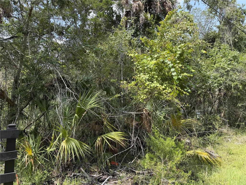 Photo of 10991 W London Lane, Homosassa, FL 34448 (MLS # G5115684)