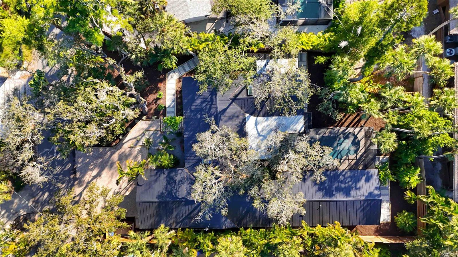 OCEAN BEACH REP - Residential