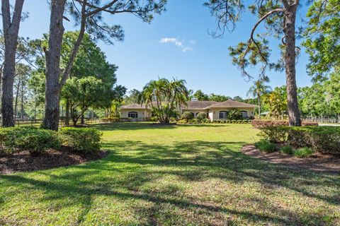 Photo of 3452 Forelock Road, Tarpon Springs, FL 34688 (MLS # TB8392947)