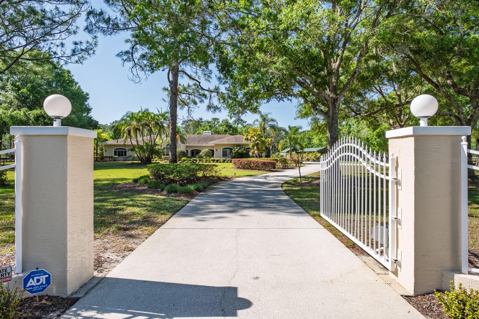 3452 FORELOCK ROAD