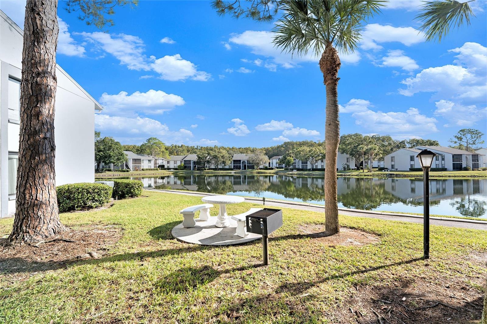 PINE RIDGE AT LAKE TARPON VILLAGE - Residential