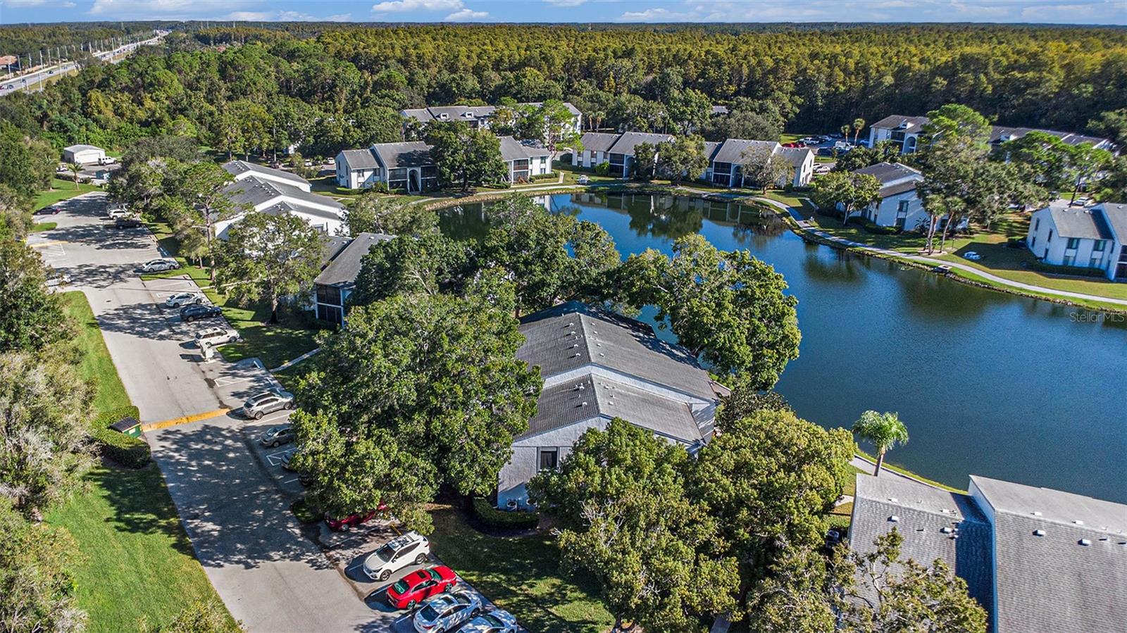 PINE RIDGE AT LAKE TARPON VILLAGE - Residential