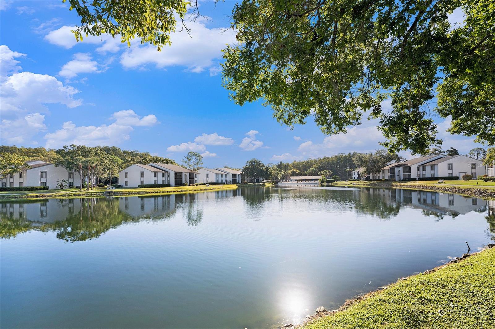 PINE RIDGE AT LAKE TARPON VILLAGE - Residential