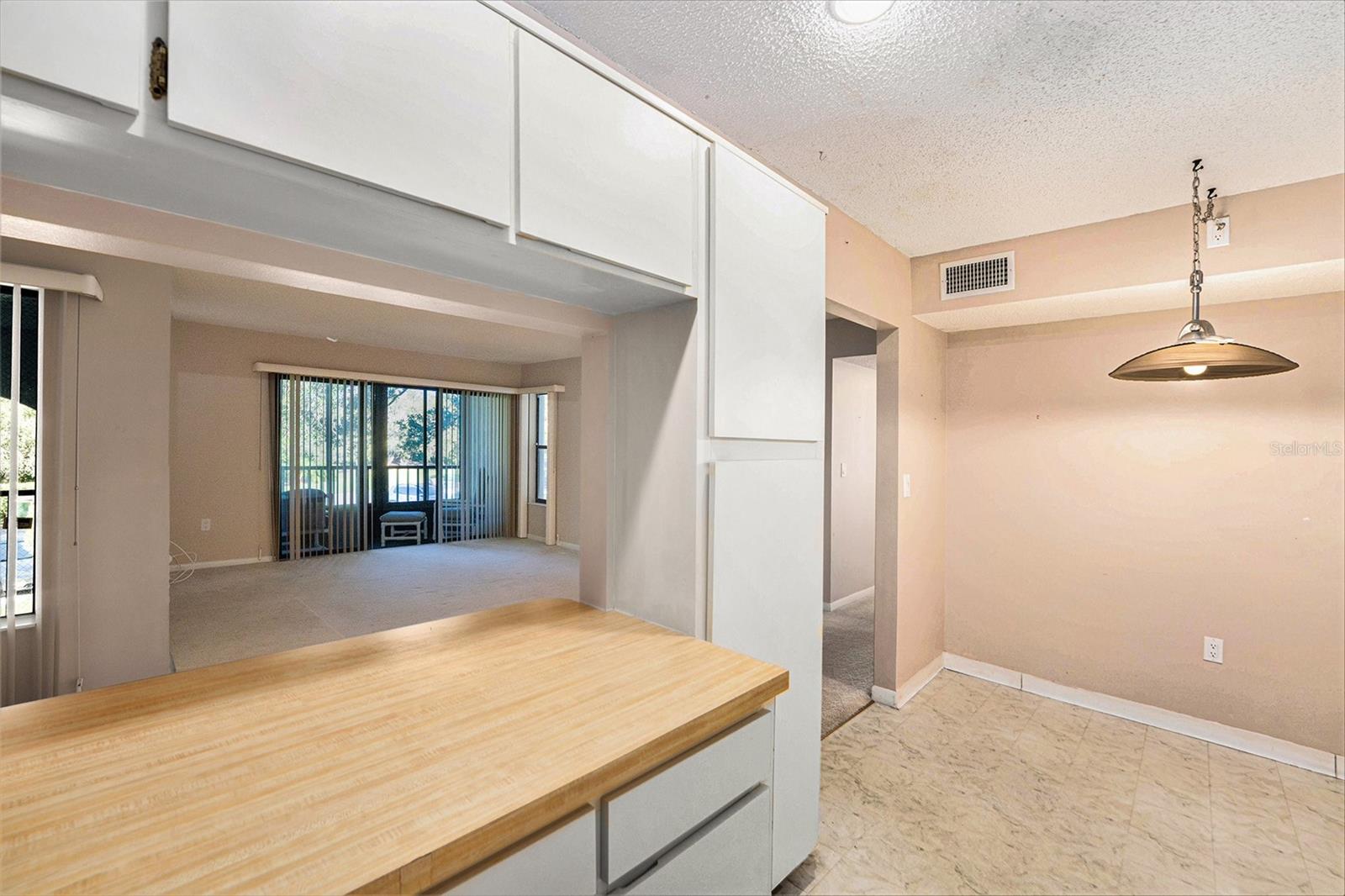 PINE RIDGE AT LAKE TARPON VILLAGE - Residential