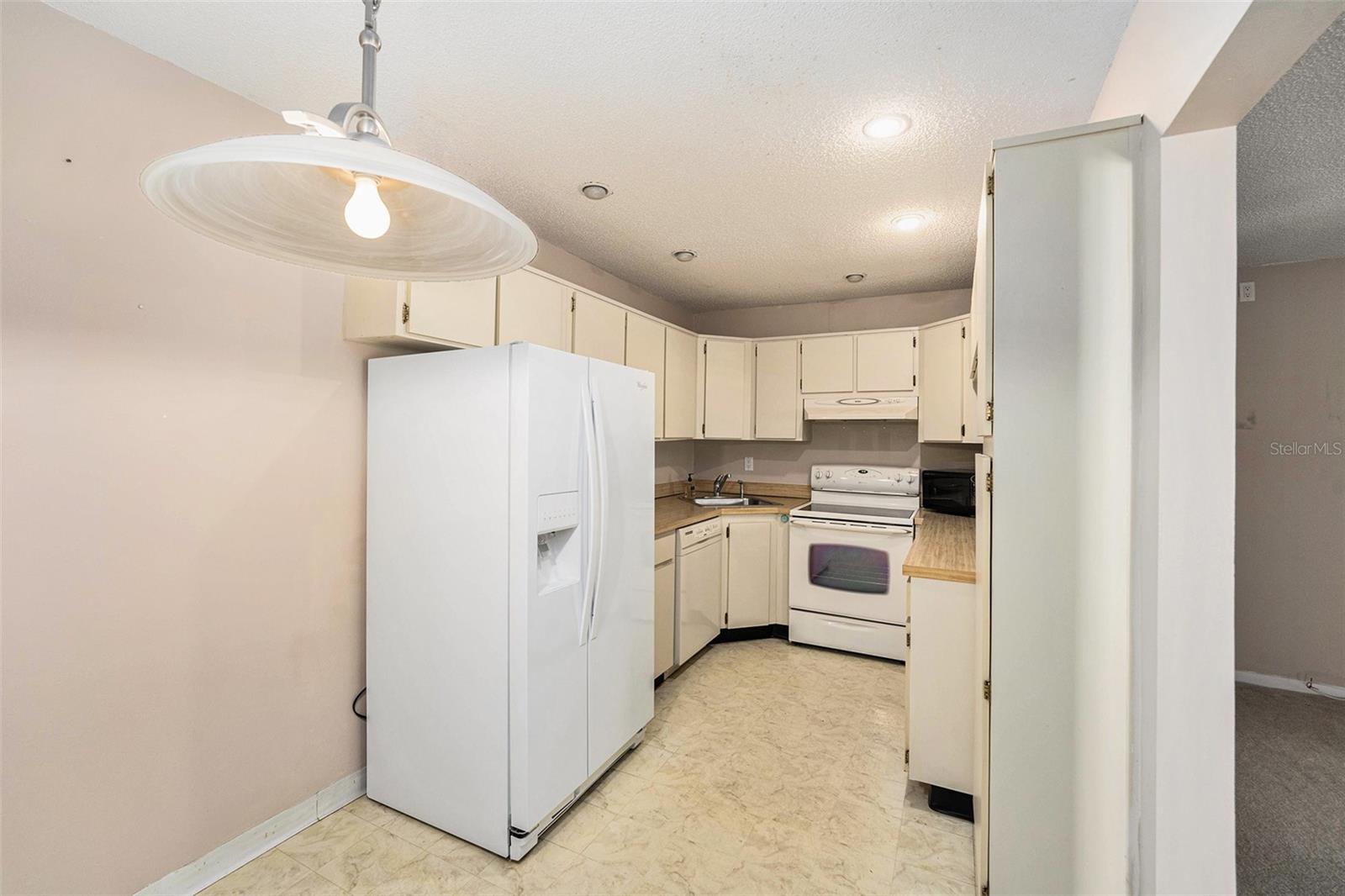 PINE RIDGE AT LAKE TARPON VILLAGE - Residential