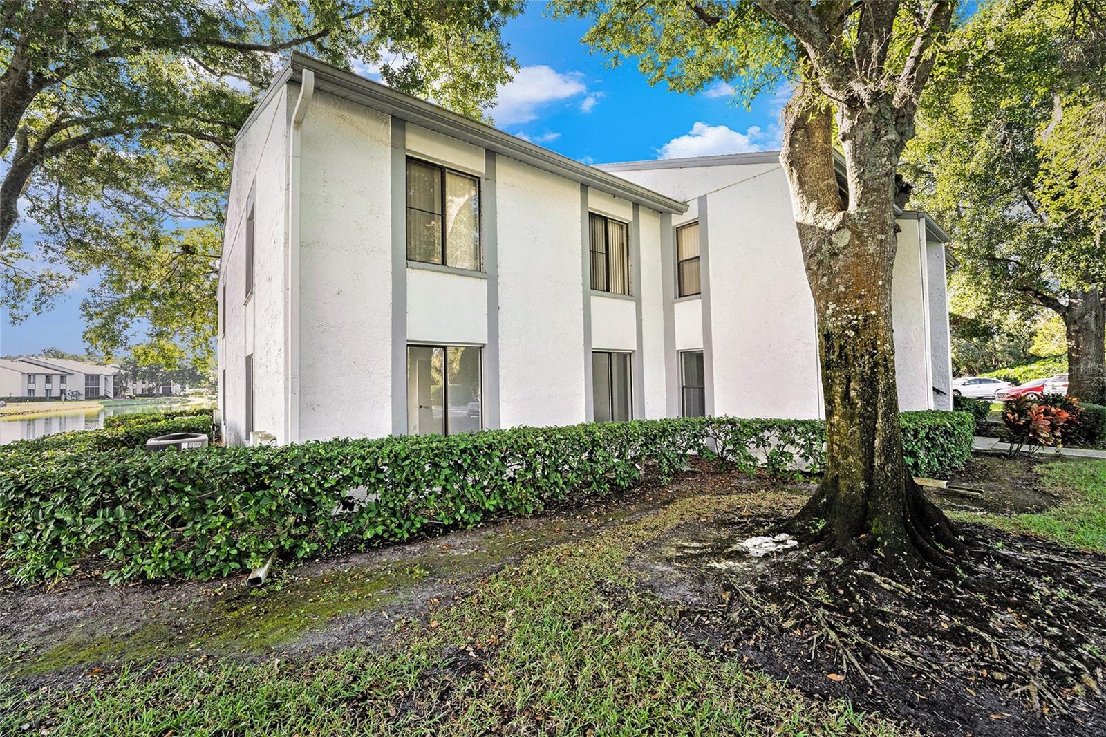 PINE RIDGE AT LAKE TARPON VILLAGE - Residential