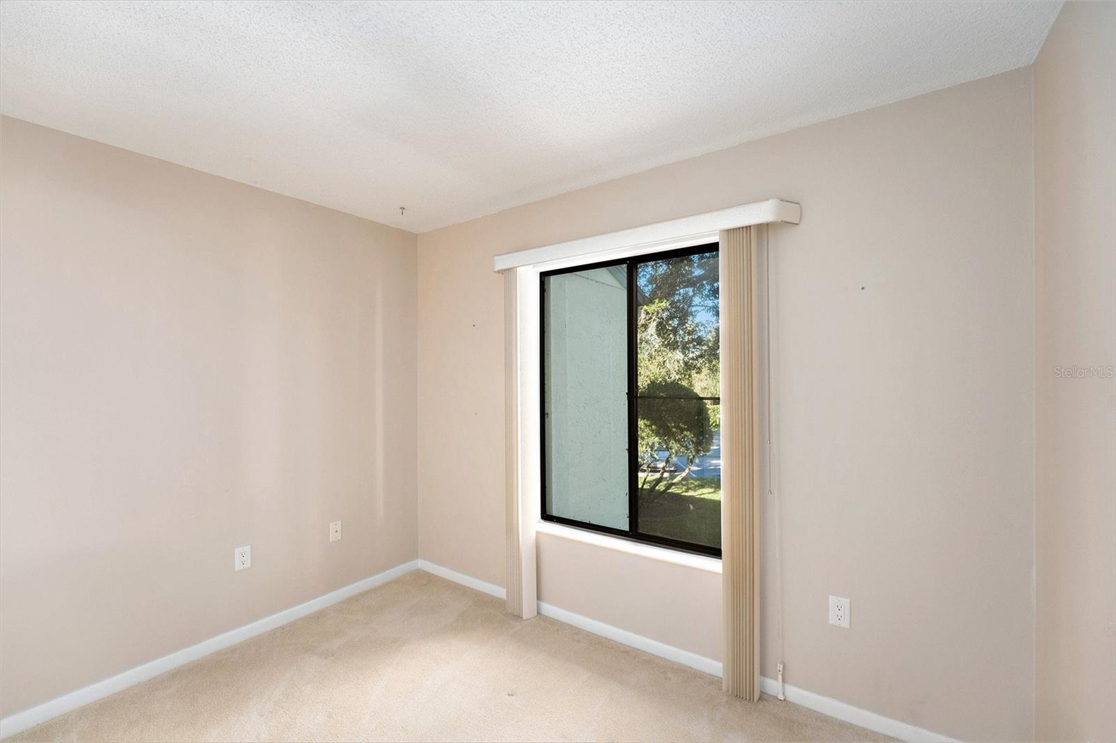 PINE RIDGE AT LAKE TARPON VILLAGE - Residential
