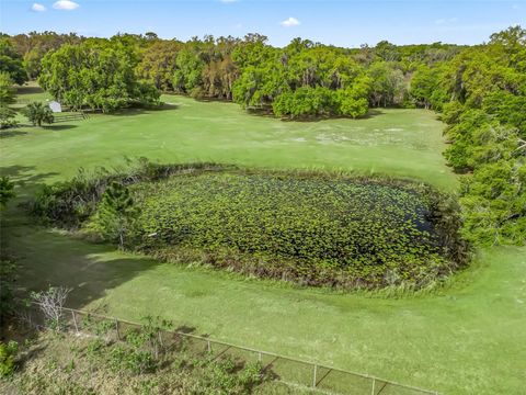 Tiny photo for 747 County Road 466a, Fruitland Park, FL 34731 (MLS # G5094182)