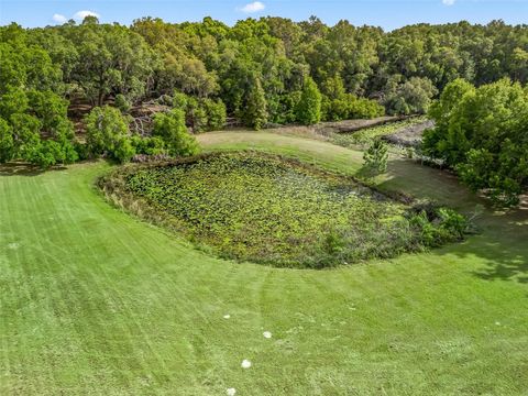 Tiny photo for 747 County Road 466a, Fruitland Park, FL 34731 (MLS # G5094182)